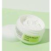 1528 centella blemish cream 3