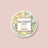 1729 4 all clean balm mandarin