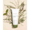 Houttuynia Cordata + Tea Tree Cleansing Foam 2